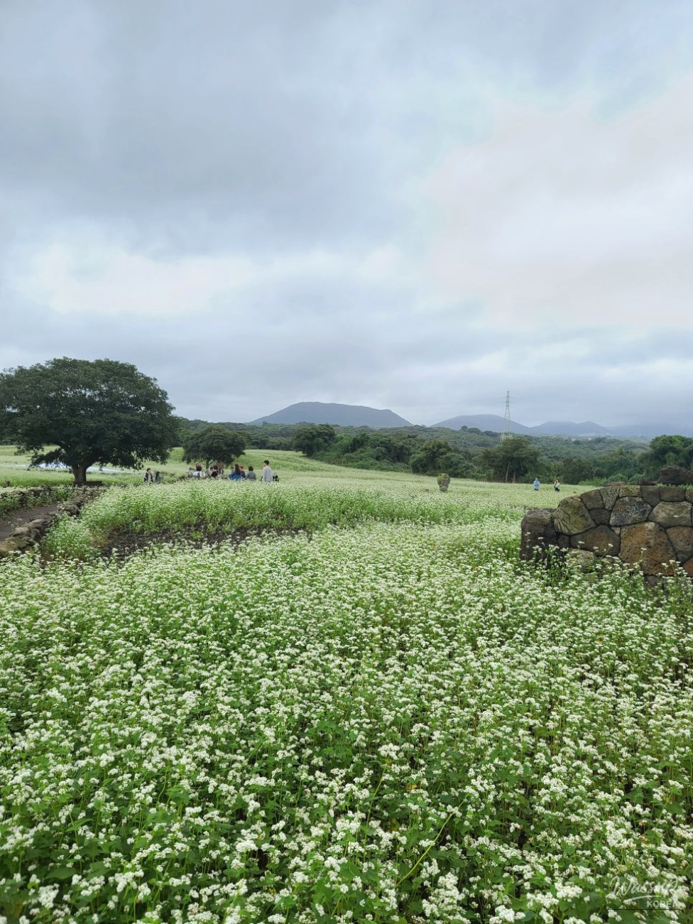 흥미로운 이미지