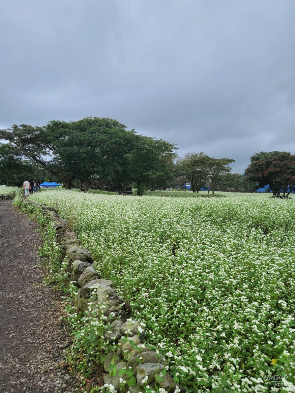 인상 깊은 모습