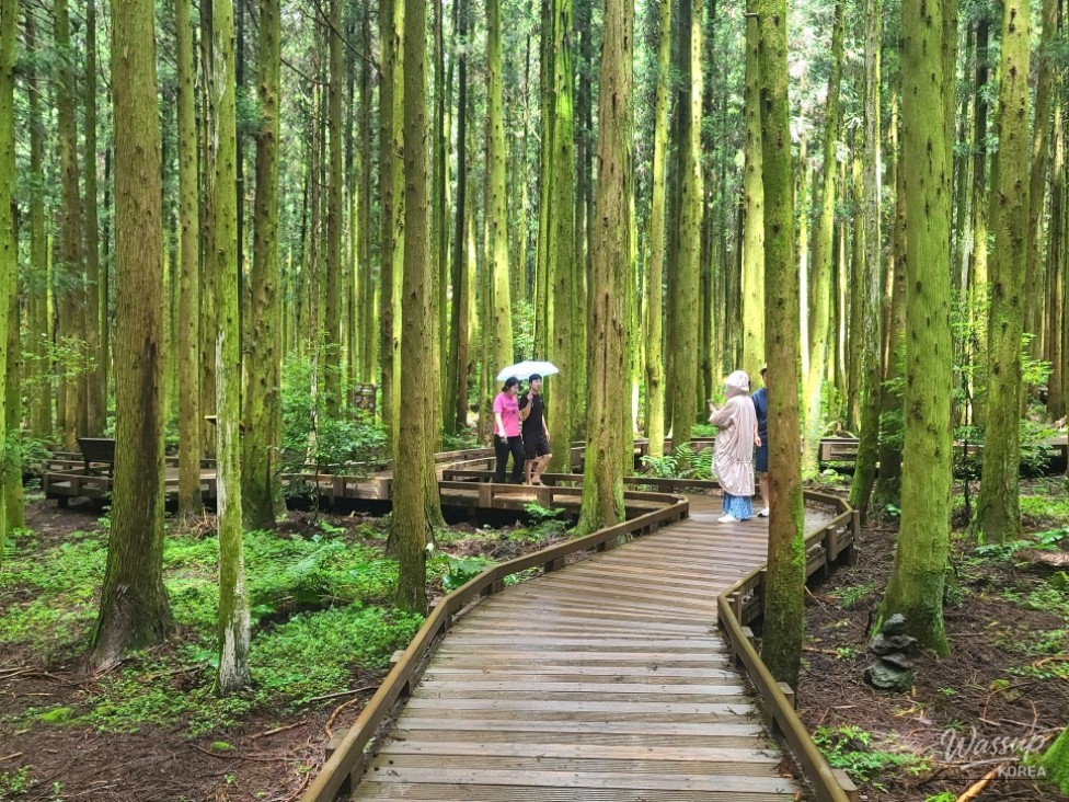 흥미로운 이미지