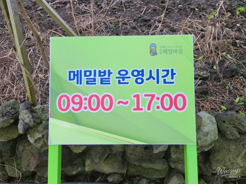 환상적인 장면
