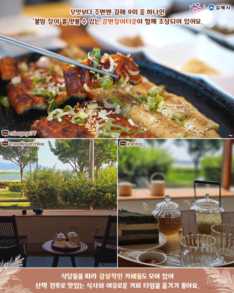 Lush colony of pampas grass blooming along the riverside promenade