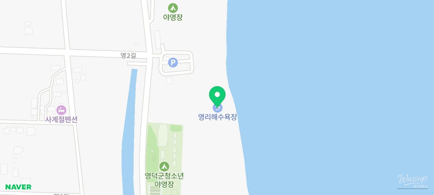 매력적인 사진