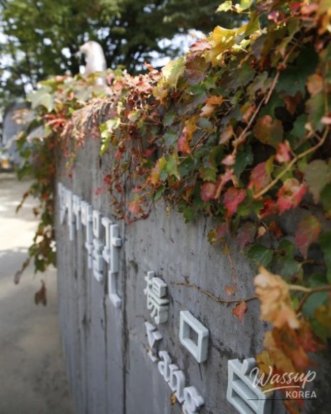 Scenic walking trail in Yanggu
