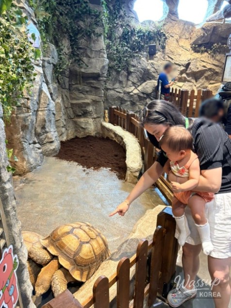 Zoorurung Zoo stamp mission book