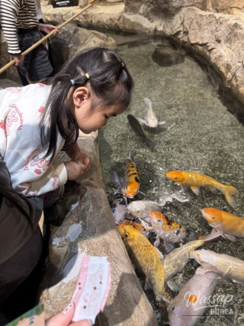 Rabbit observation zone