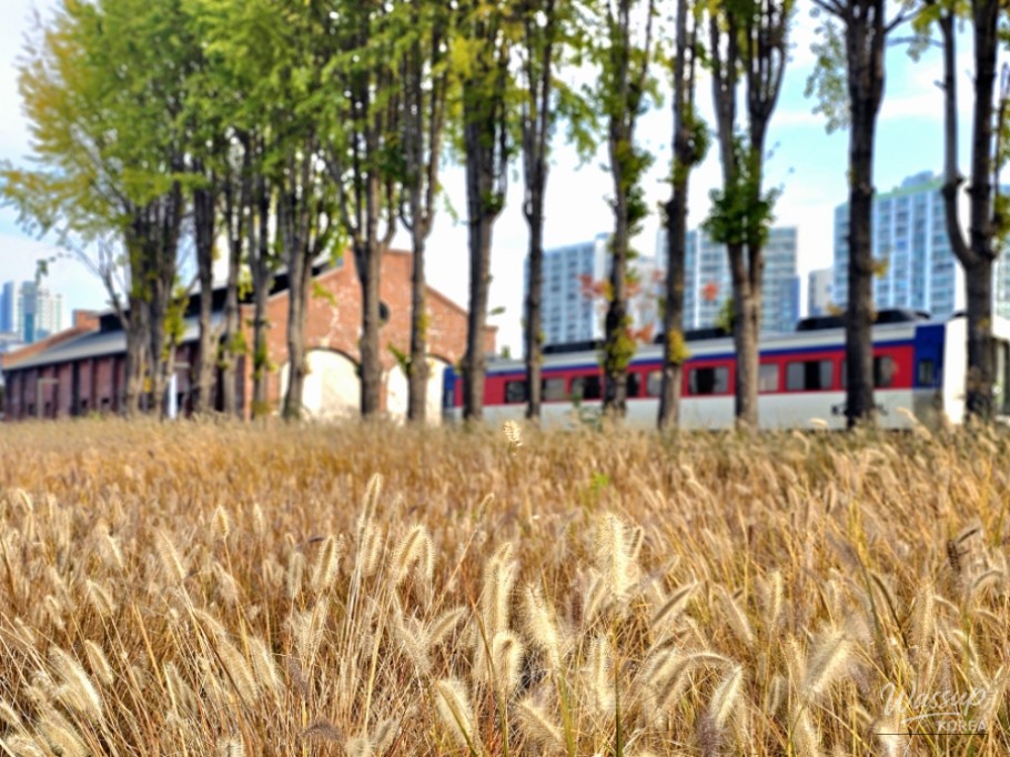 Happy moment