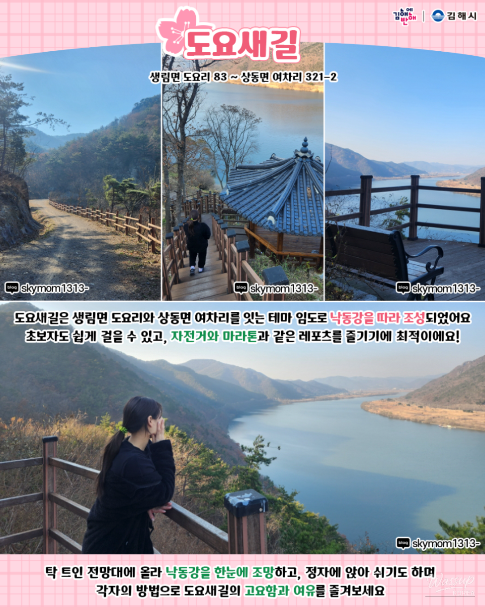 A wide view of the Nakdong River from the Sandpiper Road observatory gazebo