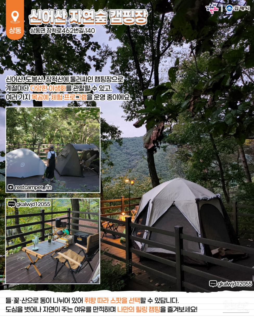 A vast field of blooming flowers along the Nakdong River at the Daedong Ecological Sports Park