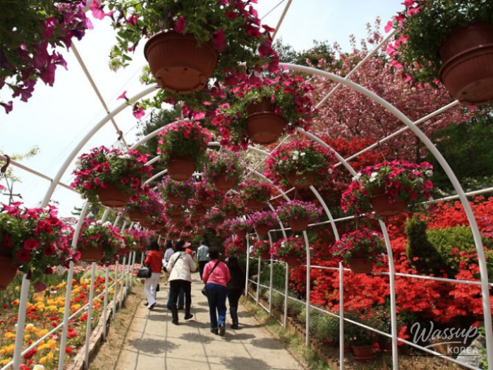 Impressive appearance