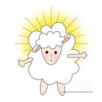 Close up of blooming chrysanthemums at the arboretum