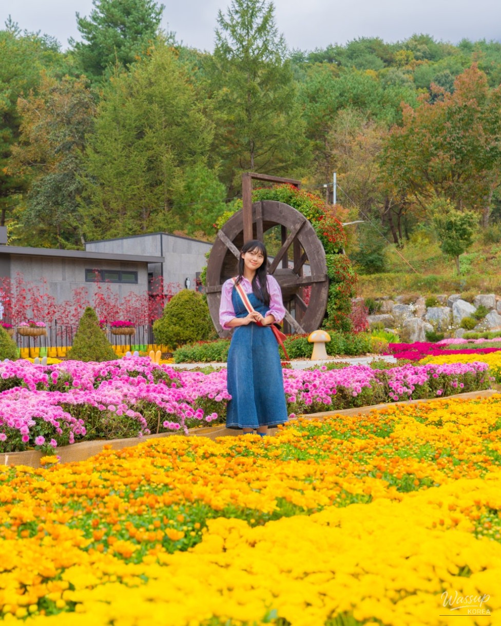 Arboretum flower path