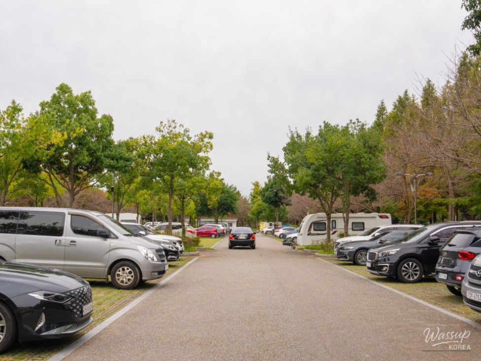 Mysterious appearance