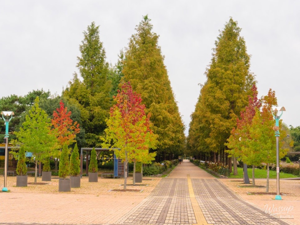 Impressive appearance