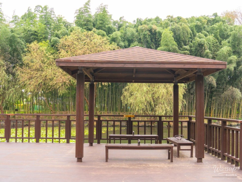 Impressive appearance