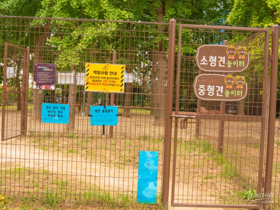 Mysterious appearance