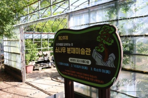 화려한 장면