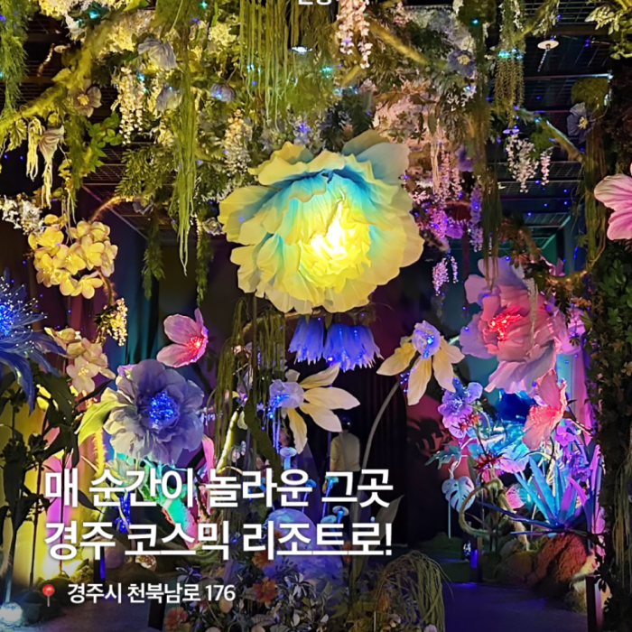 Discover a Mystical Universe in Gyeongju: Cosmic Resort466