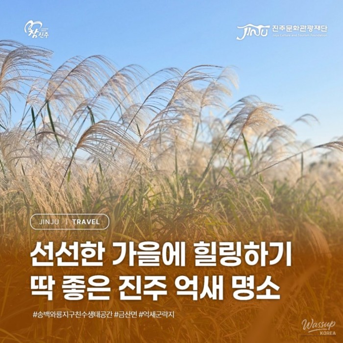 Discover Jinju's Hidden Gem: Songbaek & Waryong Waterfront Ecological Park for an Autumn Stroll463