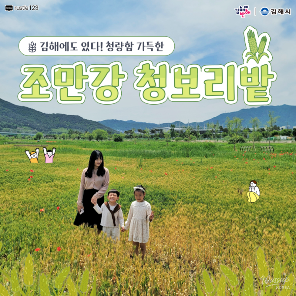 Panoramic view of the vast green barley fields at Gimhae Joman River under a bright spring sky