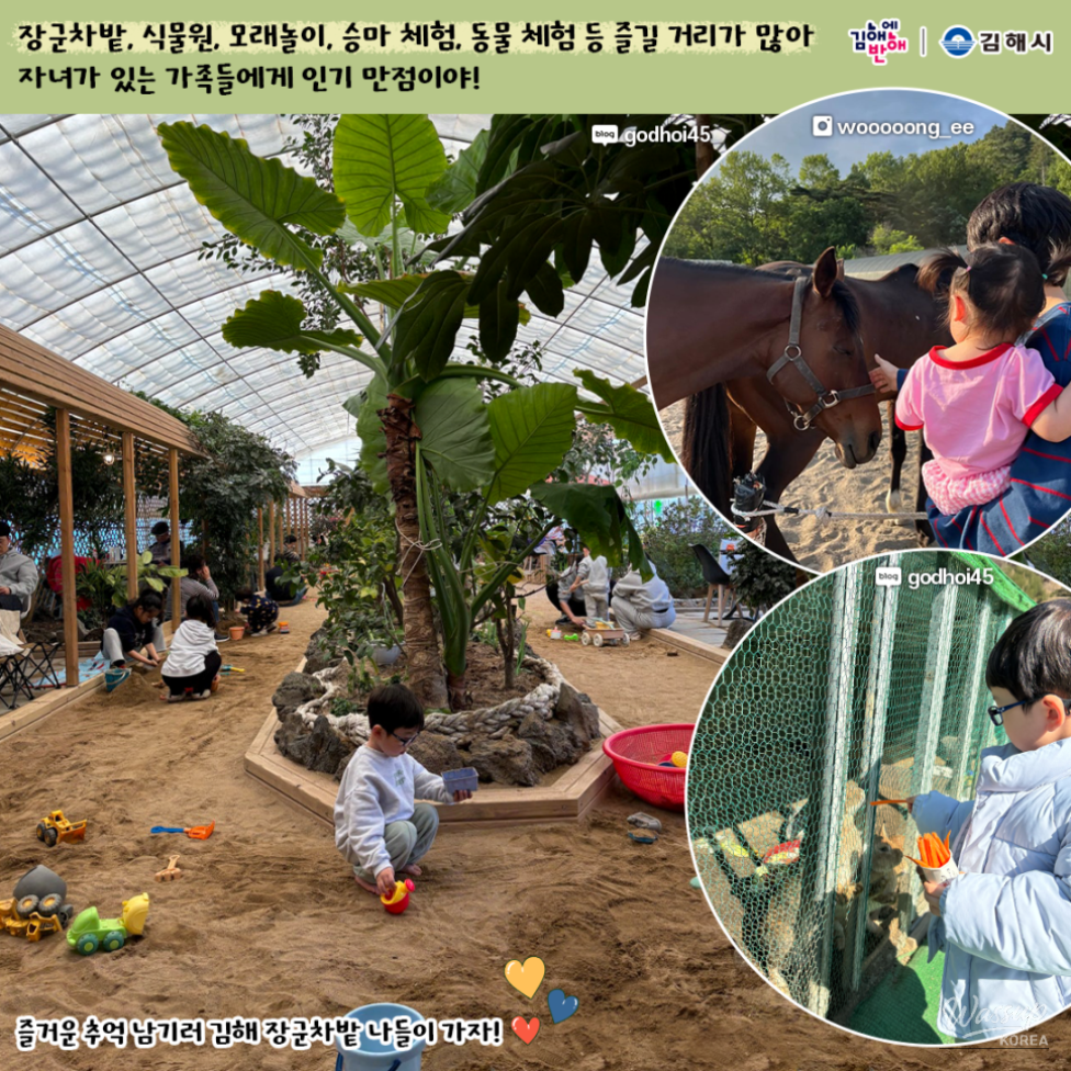 Lush foliage and peaceful atmosphere inside the indoor botanical garden at Cafe With Nature