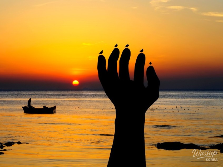 Mysterious appearance