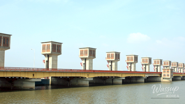 Mysterious appearance