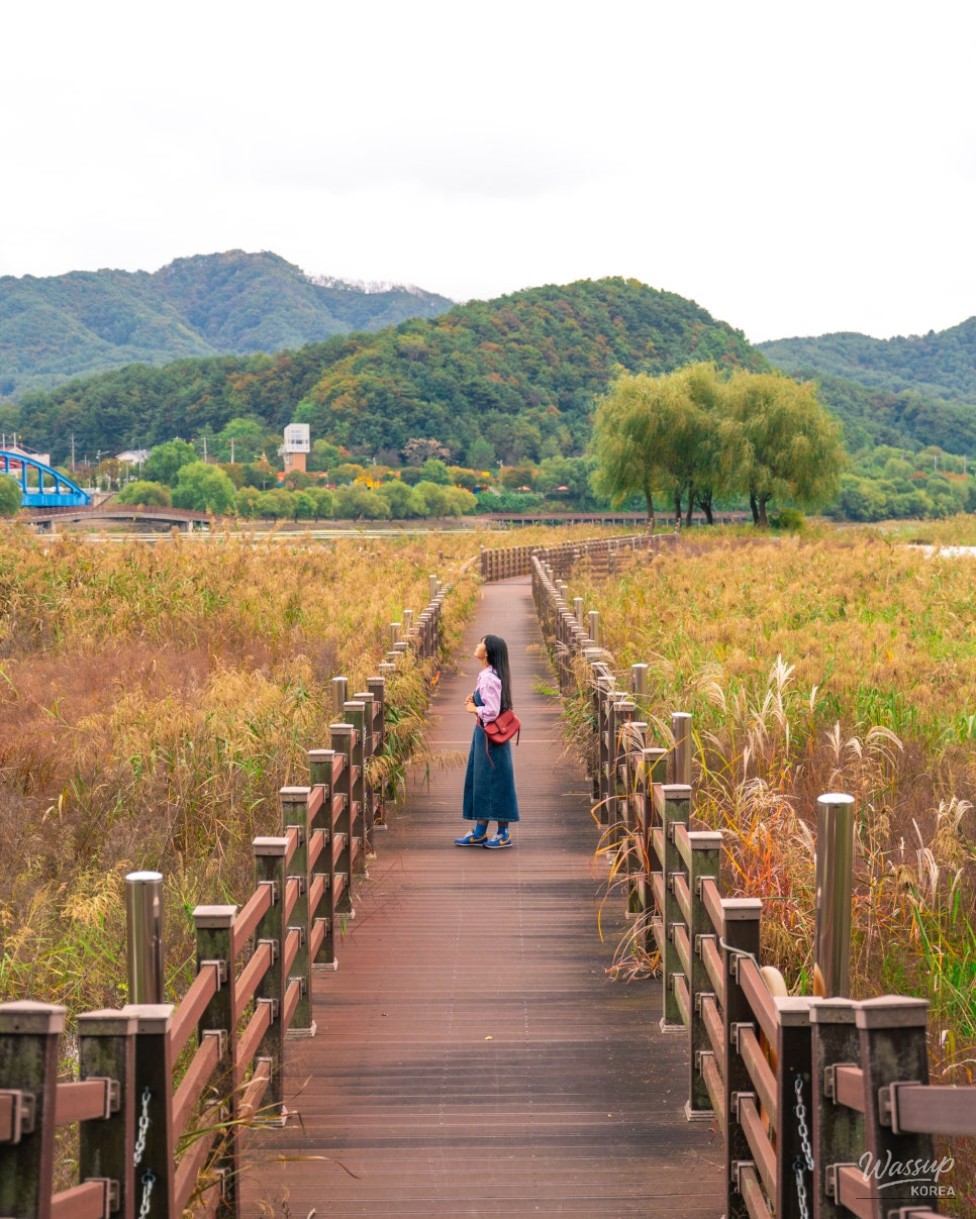 Sculptures at Hanbando Island
