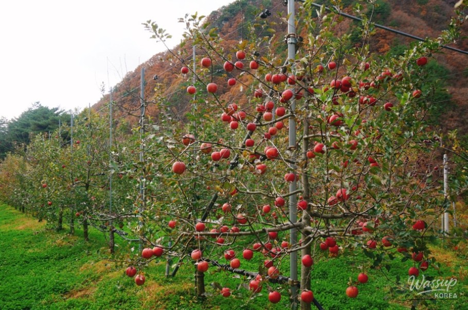 Scenic mountain views in Yanggu