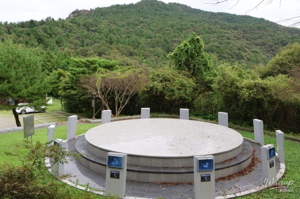 Mysterious Appearance