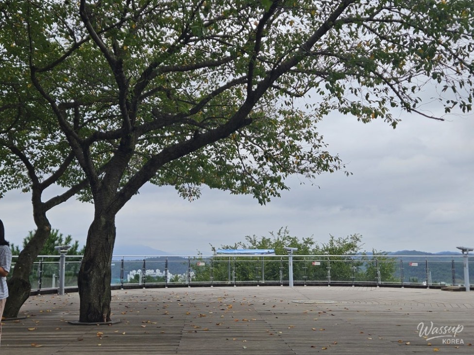 Mysterious appearance