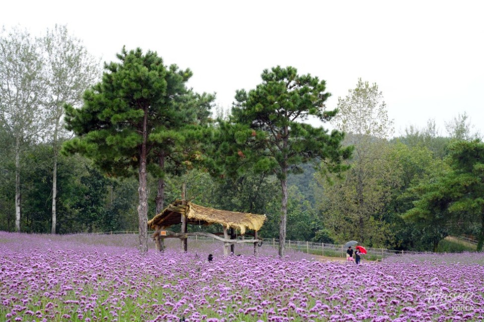 흥미로운 이미지