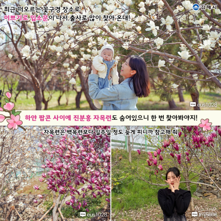 Mysterious Appearance