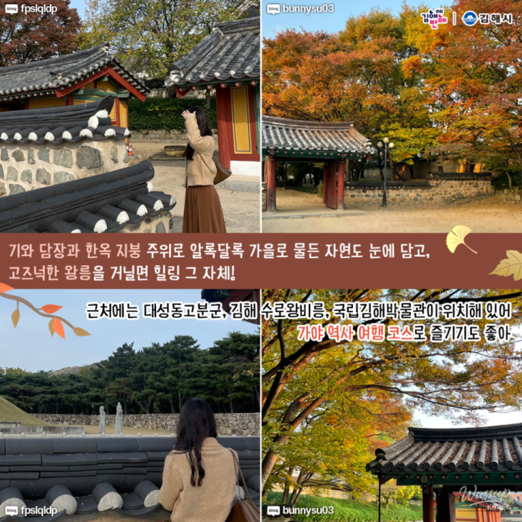 흥미로운 이미지