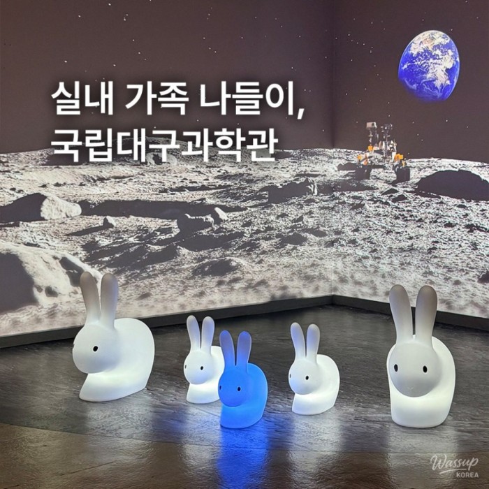 Explore the Invisible Universe: A Family-Friendly Exhibition at the Daegu National Science Museum320
