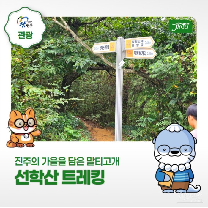Hiking Recommendation in Jinju: Malti Hill - Seonhak Mountain Trekking Course491