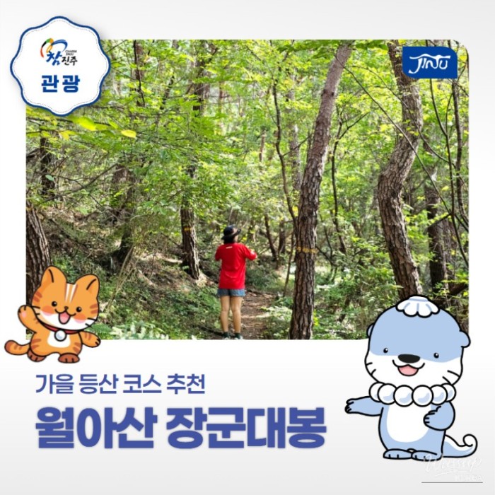 Hiking Course Recommendation in Jinju, Gyeongnam: A Review of Climbing Janggun Daebong Peak on Wolah Mountain490