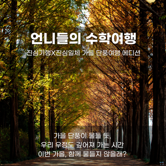 Sisters' Getaway: A Fall Foliage Wellness Trip in Jinju476