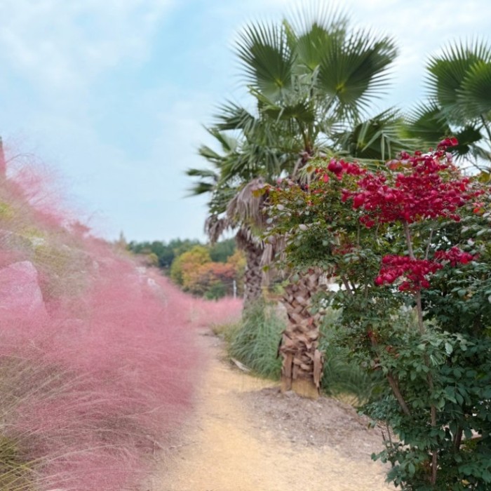 Discovering the Charms of Gangneung: A Fall Getaway468