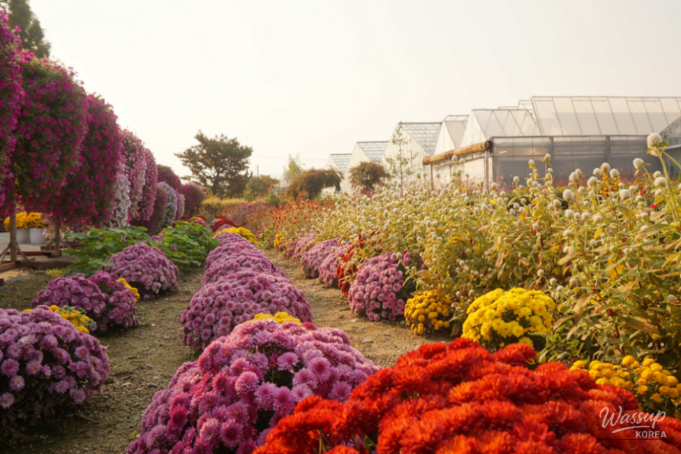 인상 깊은 모습