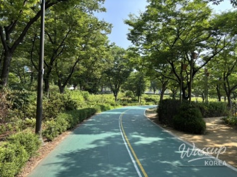 The music fountain area providing a cool mist during the hot day