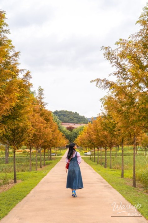 Detailed view of autumn flowers