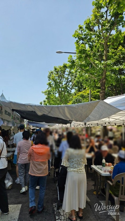 Wheelchair and stroller rental booth during the festival
