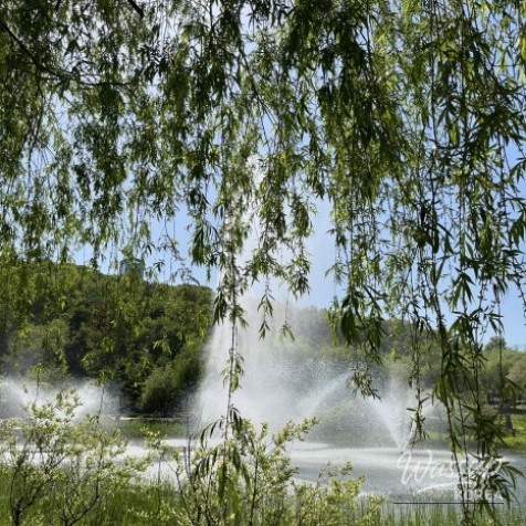 Kids playing at the floor fountain in the water playground