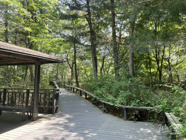 Trail map showing the different courses of the barrier-free forest path