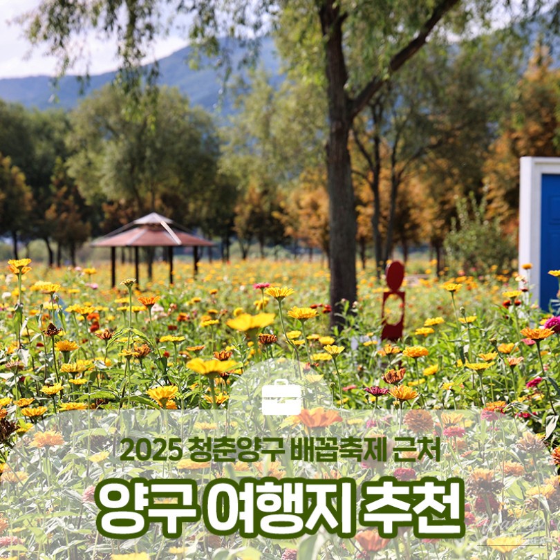 Vibrant flowers blooming beautifully at Paroho Flower Island in Yanggu