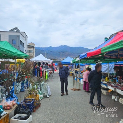Interior of Bae꼽 Bakery featuring modern decor and a wide selection of breads