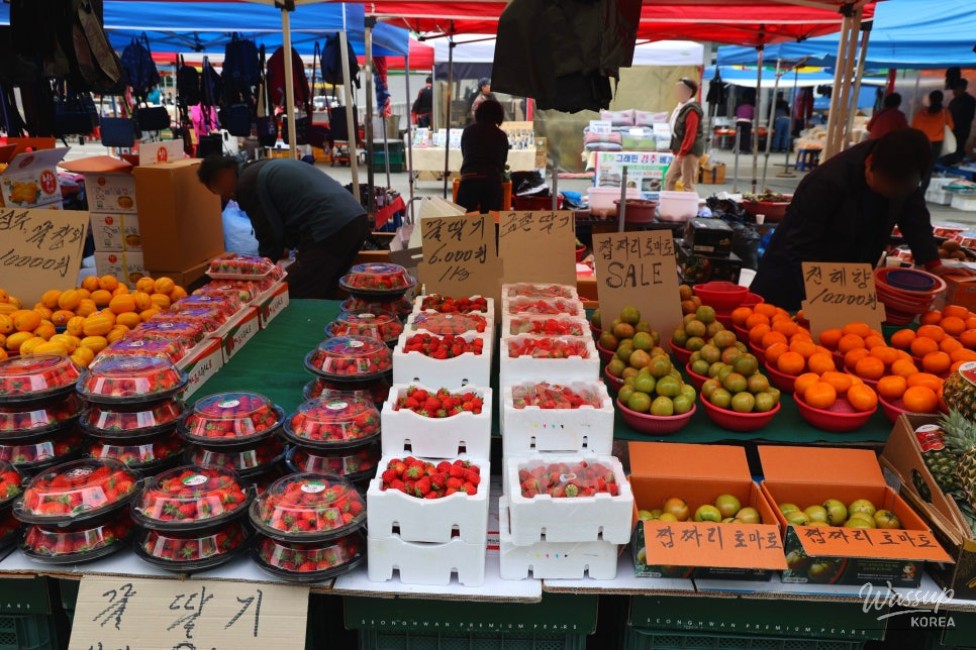 A variety of fresh seafood on display at the traditional market