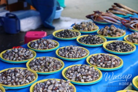 Beautiful night lighting along the island walking paths