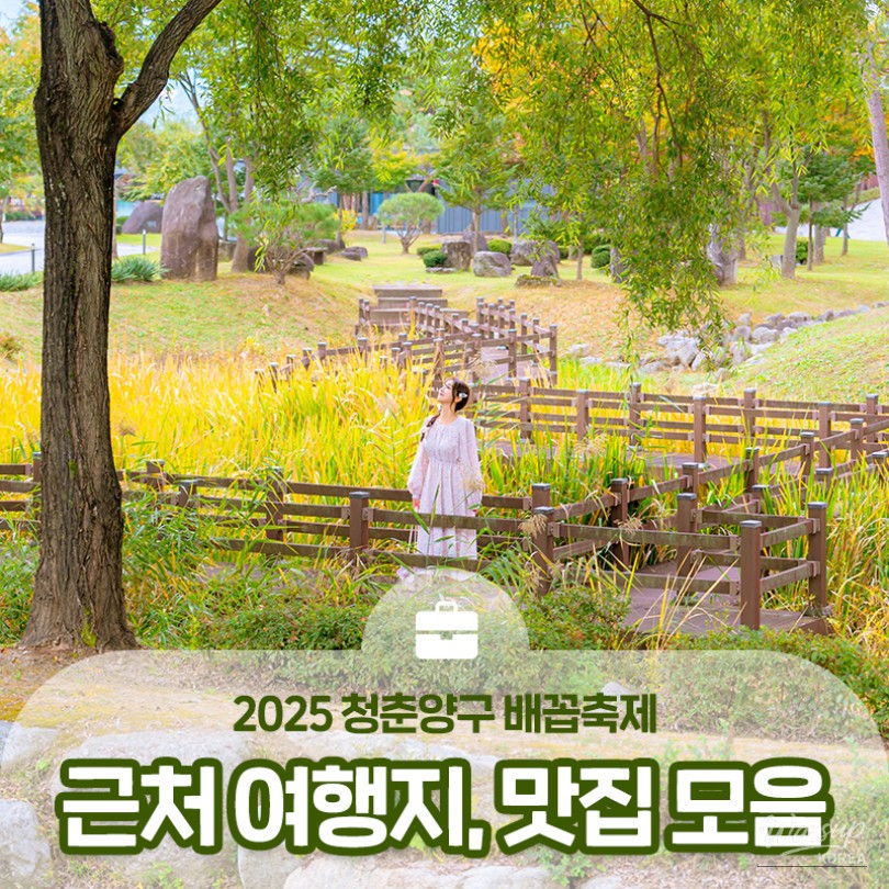 Vibrant promotional poster for the 2025 Youth Yanggu Navel Festival featuring festival mascots