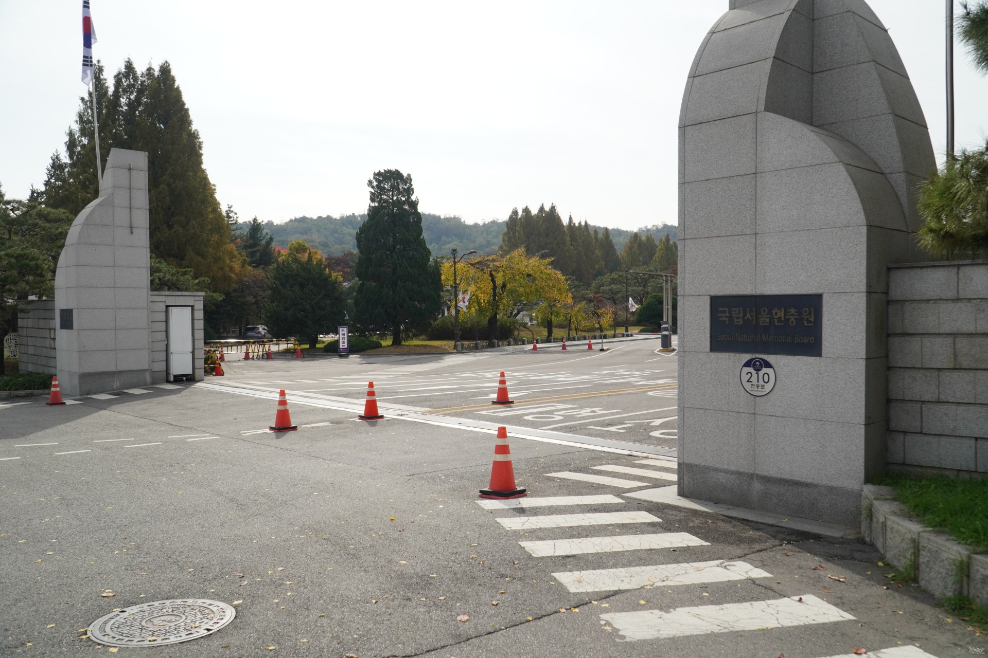 Entrance parking lot with clearly marked disabled spaces